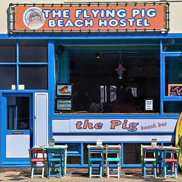 The Flying Pig Beach Hostel, ages 18 - 40，位于海滨诺德韦克的酒店