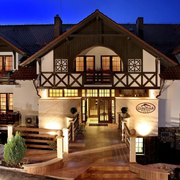 Hotel Dziki Potok Karpacz Konferencje & SPA，位于Ściegny的酒店