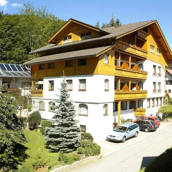 斯坦德尔的伐米雷恩酒店，位于Lieserhofen的酒店