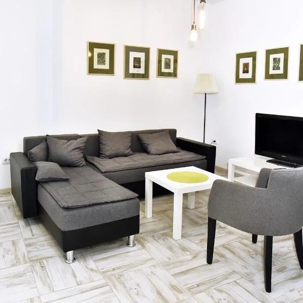 Vajda Apartments，位于诺维萨德的酒店