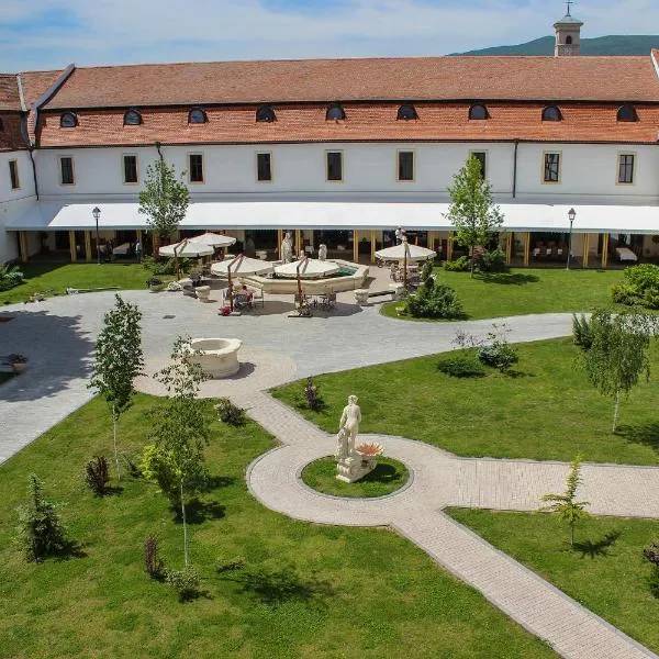 中世纪酒店，位于Poiana Galdei的酒店