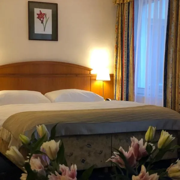 卡瓦里尔酒店，位于霍斯季维采的酒店