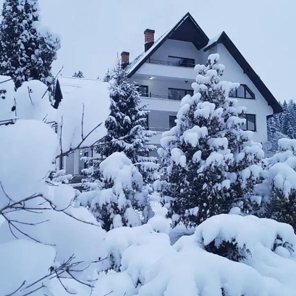 Pensiunea Almas，位于皮亚特拉-尼亚姆茨的酒店