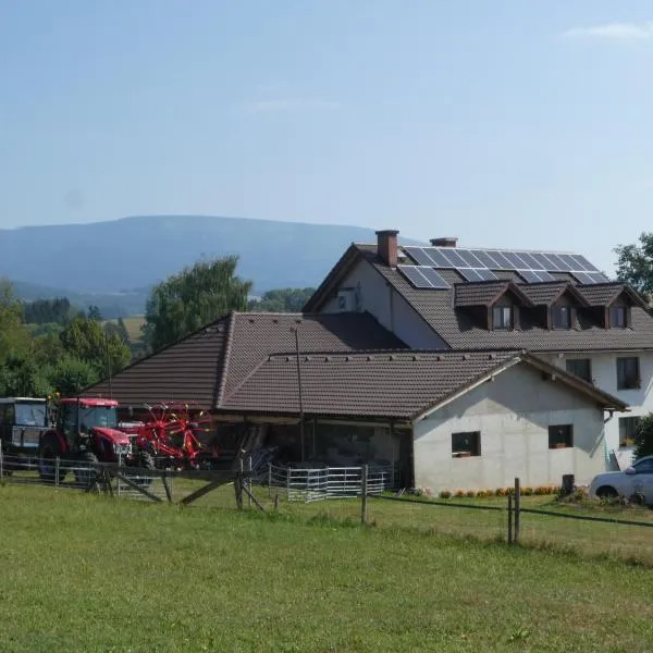 Ubytování Farma U sv. Jakuba，位于Rudník的酒店