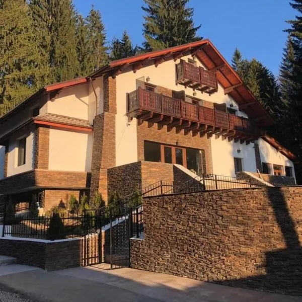 Platinvm B&B，位于普雷代亚尔的酒店