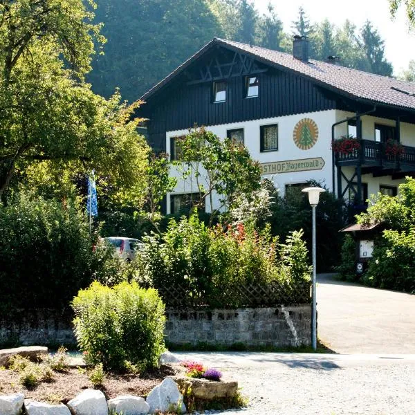 巴伐利亚森林酒店，位于Patersdorf的酒店