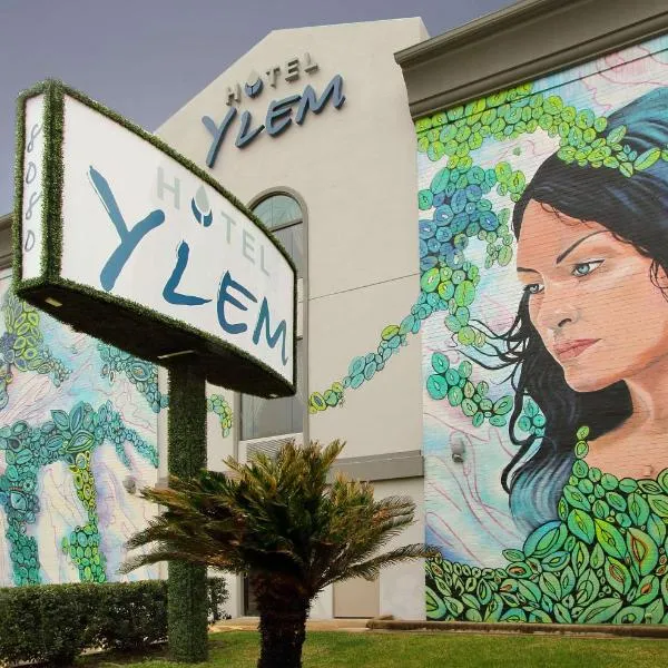 Hotel Ylem，位于休斯顿的酒店