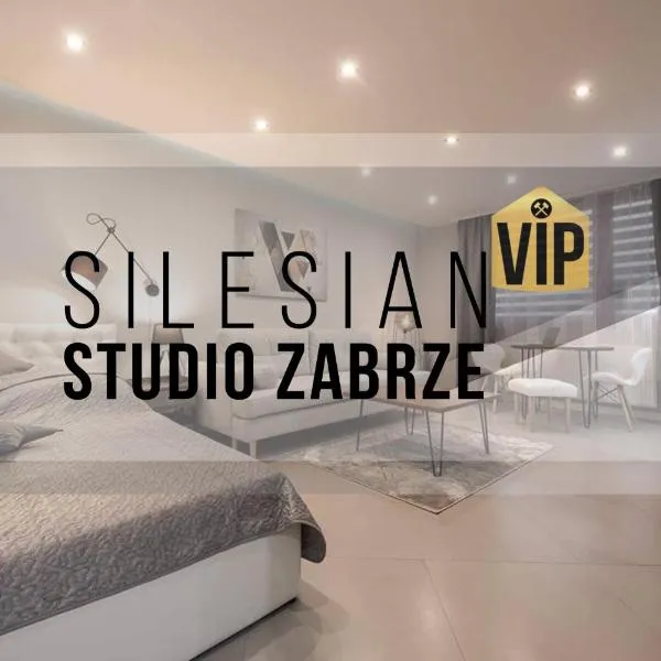 Studio Silesian Vip，位于扎布热的酒店