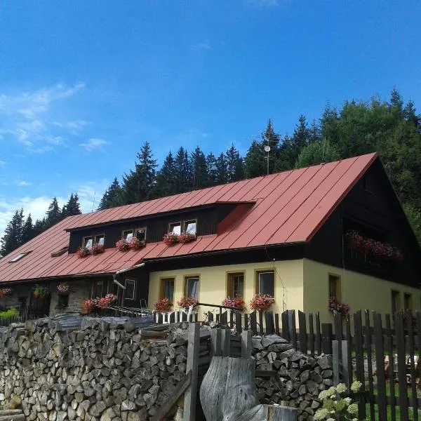 Pension Arnika，位于莫德拉瓦的酒店