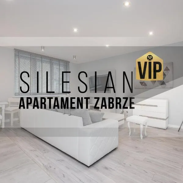 Apartament Silesian Vip，位于扎布热的酒店