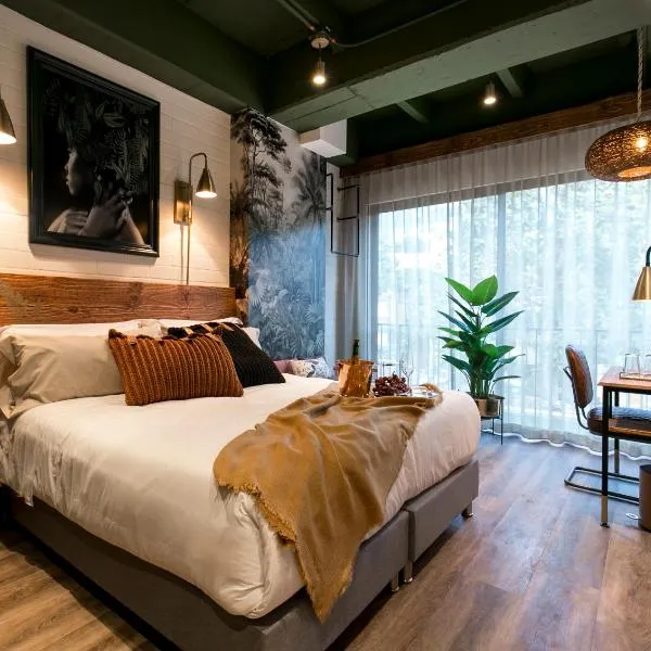 Celestino Boutique Hotel & Spa，位于麦德林的酒店