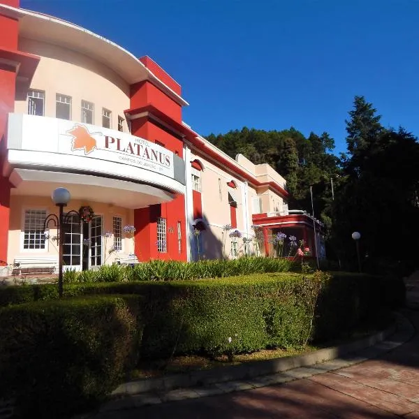 Hotel Platanus，位于Ribeirão Grande的酒店