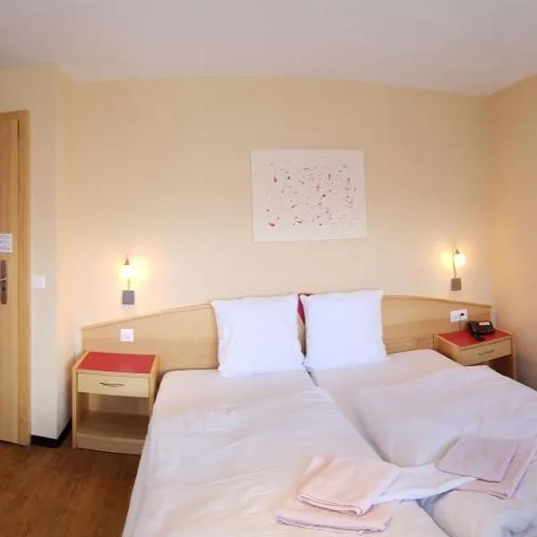 Hotel Europa Guest House - kein Personenaufzug - no elevator，位于萨斯费的酒店