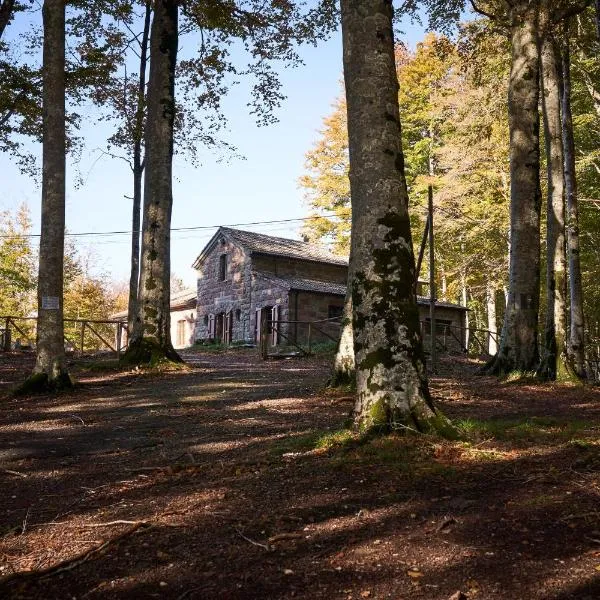 Chalet Vecchio Rifugio - Monte Amiata，位于皮亚诺堡的酒店