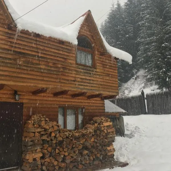 Shelest Vody，位于Rusʼka Mokra的酒店