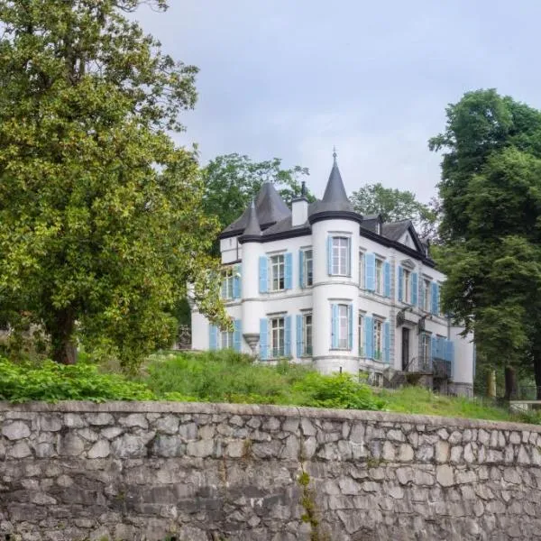 Château de Druon，位于Izest的酒店