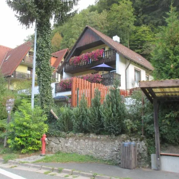 Apartments in Behringersmühle，位于格斯韦因斯泰因的酒店