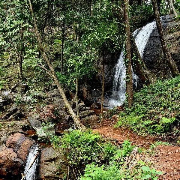 Karadikallu Homestay - Private Waterfalls & Guided Trek，位于Blegod的酒店