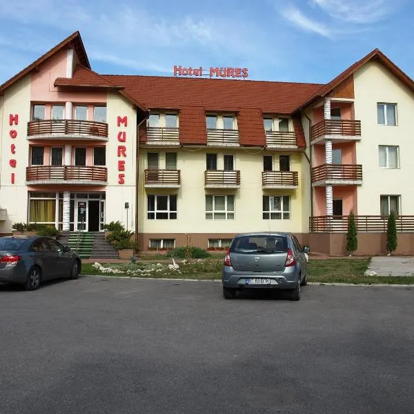 穆列什酒店，位于Hodoşa的酒店