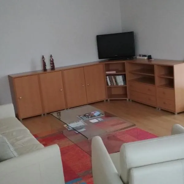 Apartmán u náměstí Čeladná，位于切拉德纳的酒店