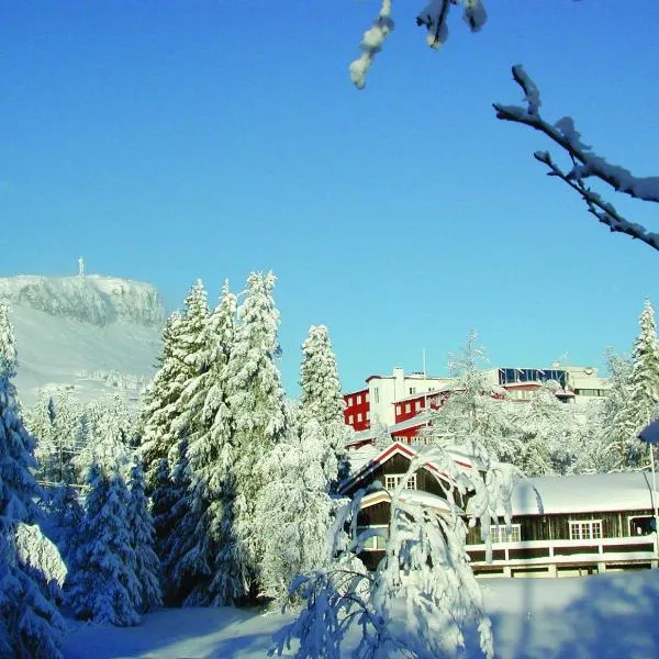 Thon Hotel Skeikampen，位于Svingvoll的酒店