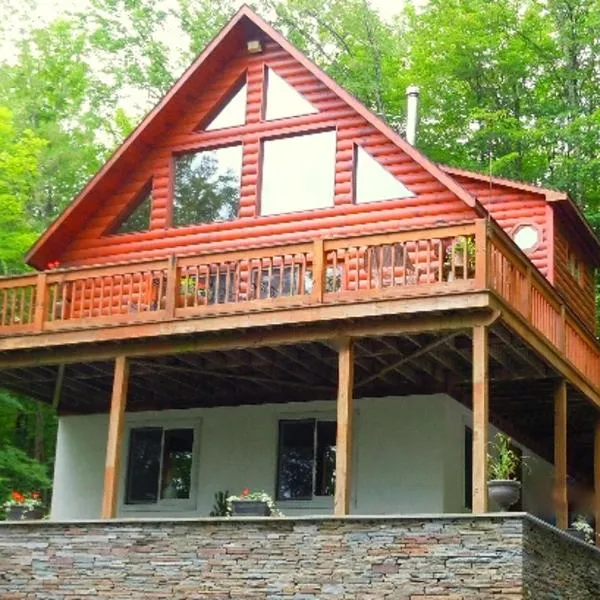 The Catskill Cabin，位于Tannersville的酒店