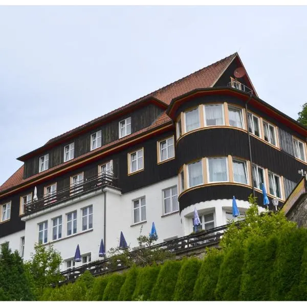 Pension & Restaurant " Zum Harzer Jodlermeister"，位于Stiege的酒店