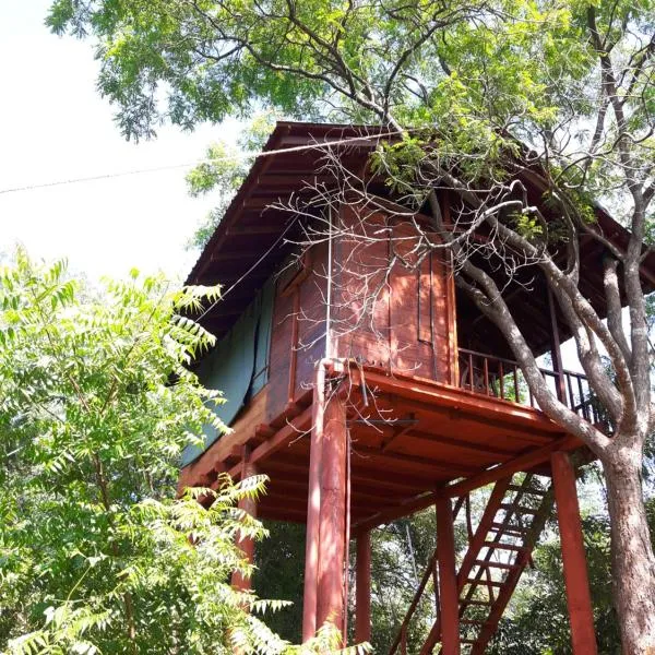 Dambulla Tree House，位于丹不拉的酒店