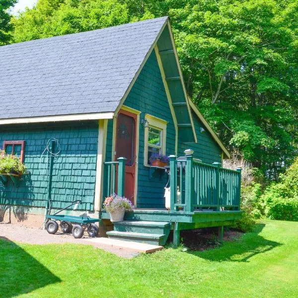 Bugaboo Cottages，位于萨默赛德的酒店