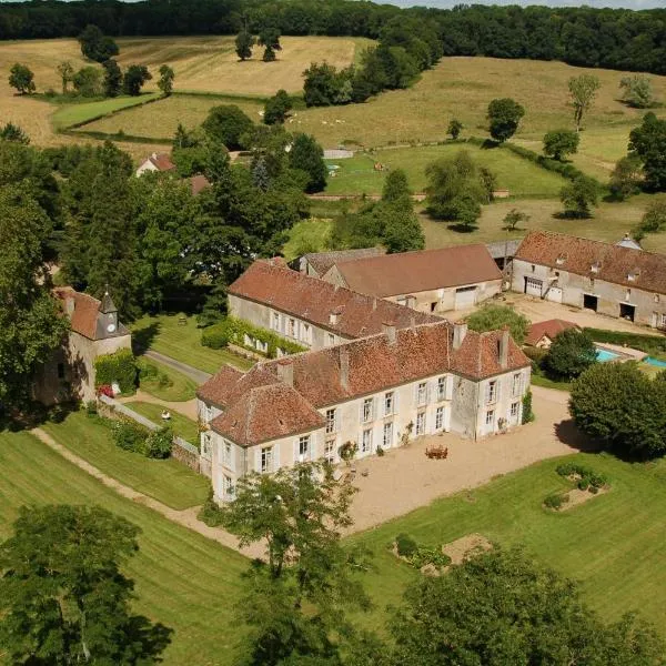 Château de SURY，位于Montigny-aux-Amognes的酒店