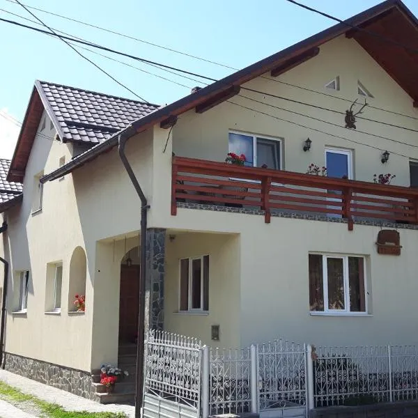 Pensiunea Casa Șteț Toader Iulian，位于瑟彭察的酒店
