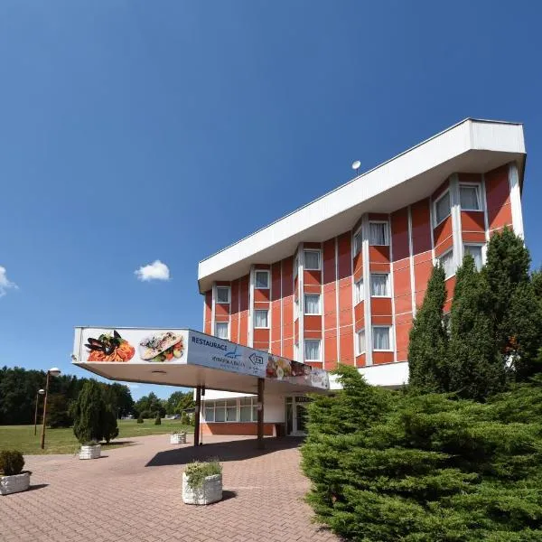 Hotel Regent，位于Lužnice的酒店