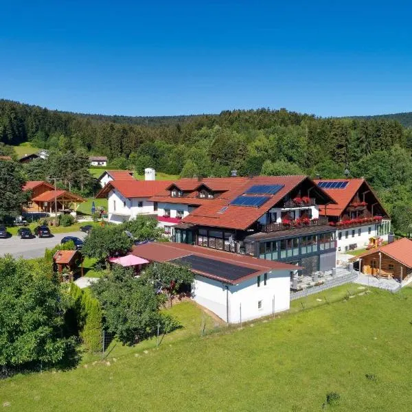 Hotel Hirschenstein，位于Grandsberg的酒店