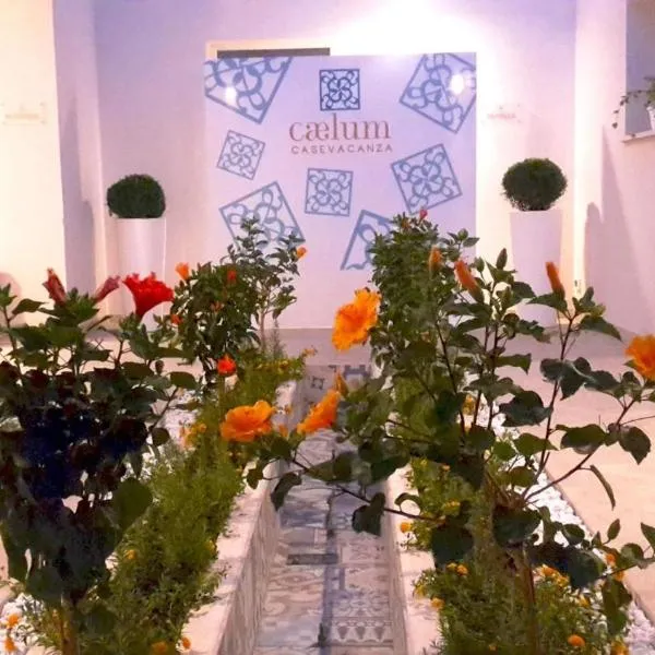 Caelum Case Vacanza，位于特拉帕尼的酒店
