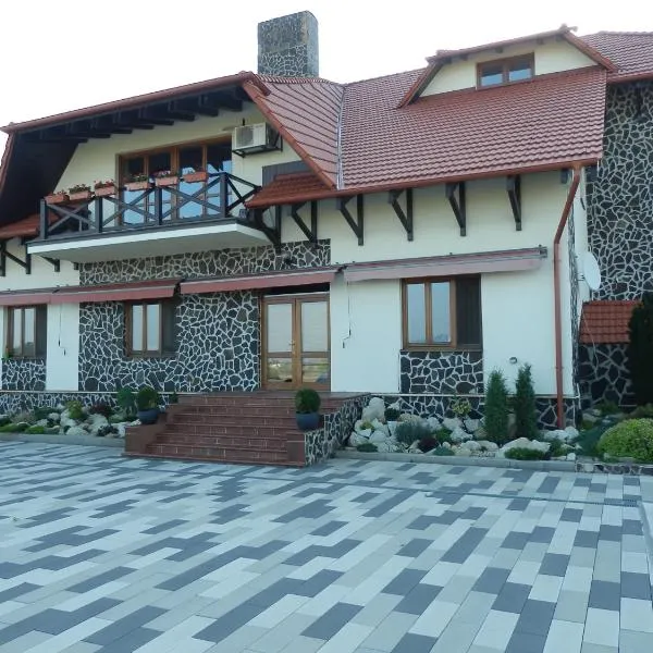 Penzión Vínny Dom，位于Kráľovský Chlmec的酒店