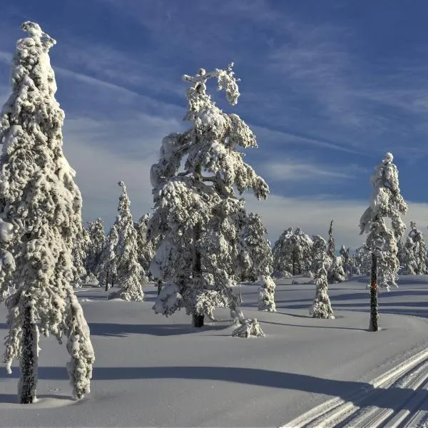 Tyrifjord Hotell，位于维克松的酒店