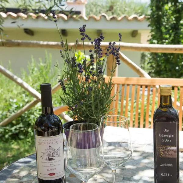 La Collina Degli Ulivi，位于Castel San Pietro的酒店