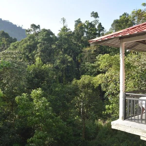 White Villa Kitulgala，位于Ambagamuwa的酒店