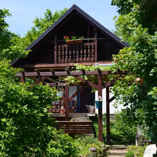Na Okić - a private forest oasis，位于Sveti Martin pod Okićem的酒店