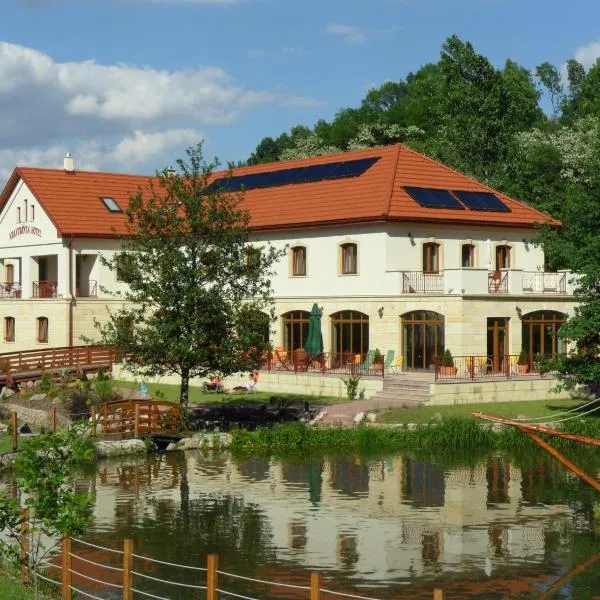 金矿酒店，位于Korlát的酒店