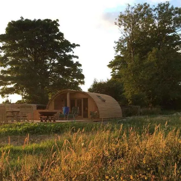 Brynllwyd Glamping，位于庞特威德的酒店