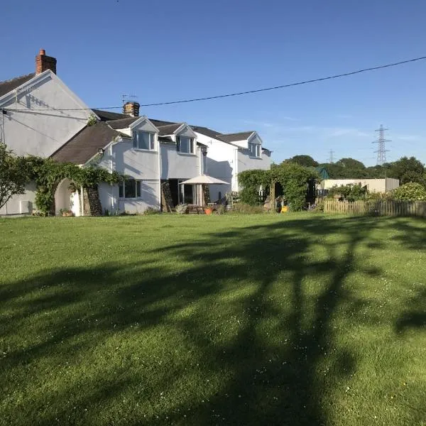 Brynawel Farm B&B，位于Capel Hendre的酒店