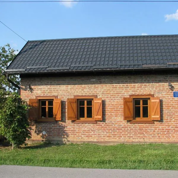 Cottage Plavi Lav Potok，位于Mužilovčica的酒店