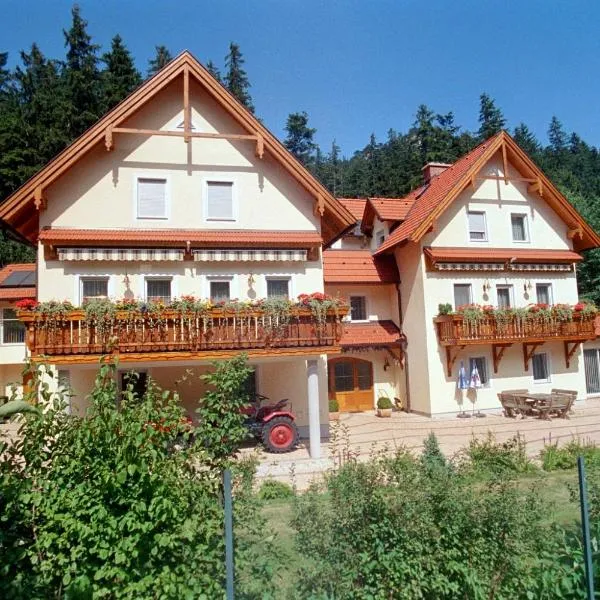 Haus Lenz Ferienwohnungen - Fam Ostermann，位于施内贝格山麓普赫贝格的酒店