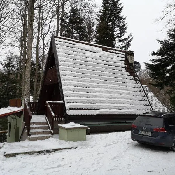 KOČA PLANIKA, SVIŠČAKI，位于Mašun的酒店