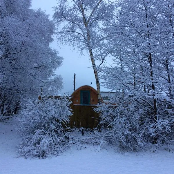 Nevis Pod, West Highland Way Holidays，位于金洛赫利文的酒店