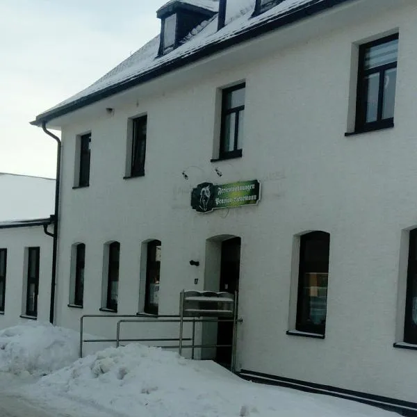 Reiterhof & Pension Lienemann，位于Grünbach的酒店