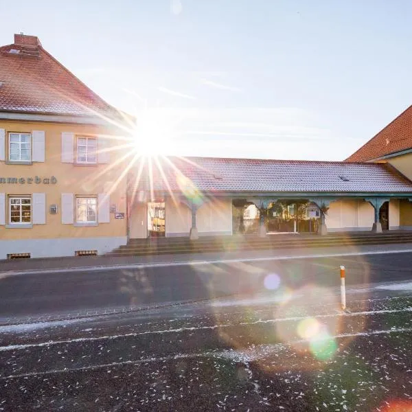 Hotel Am Sommerbad，位于Dingelstedt的酒店