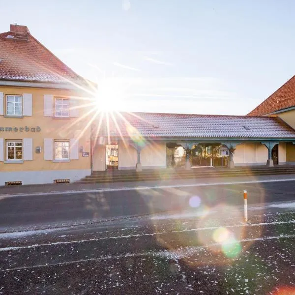 Hotel Am Sommerbad，位于Kloster Gröningen的酒店