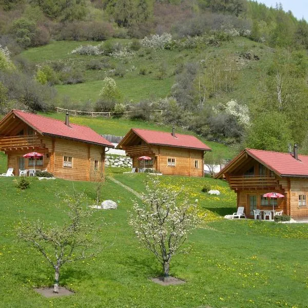 Chalets Trafögl，位于施库尔的酒店